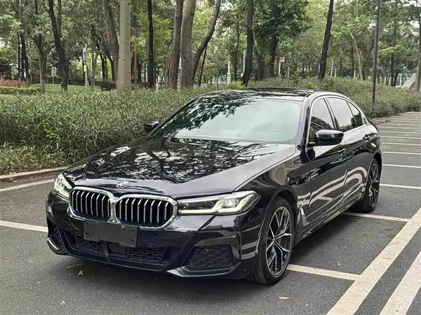 BMW 5 Series 2021