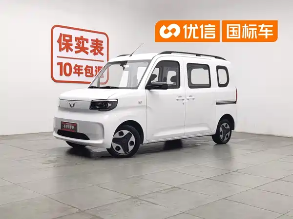 Wuling Zhiguang New Energy 2025