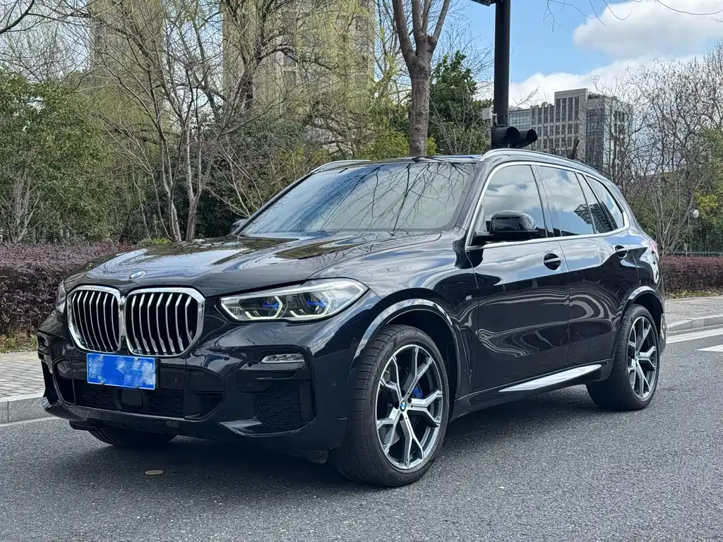 BMW X5 2019 — фото 1