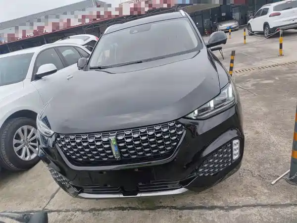Wey VV6 2020