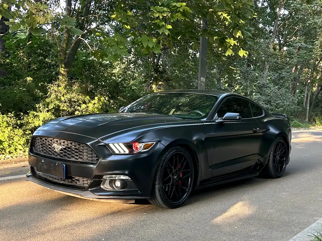 Ford Mustang 2016 — фото 2
