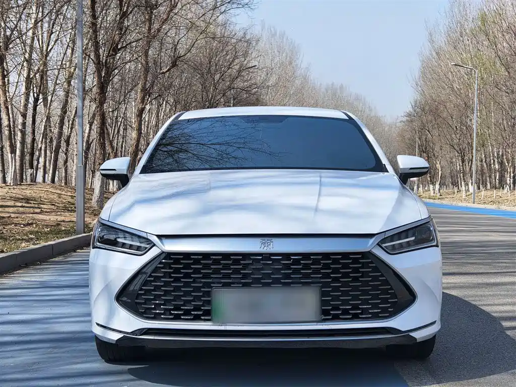 BYD Qin PLUS 2024 — фото 18