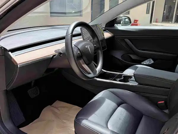 Tesla Model 3 2019