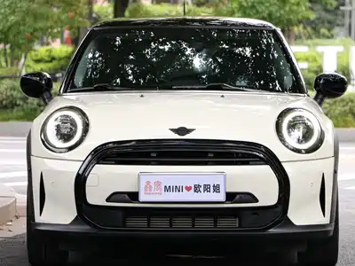 MINI MINI 2022
