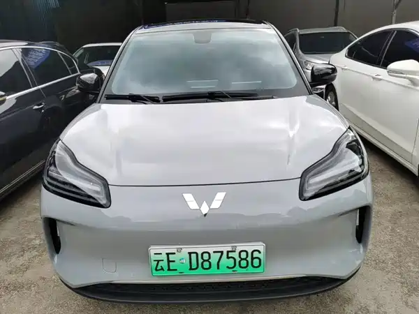 Wuling Bingo PLUS 2024