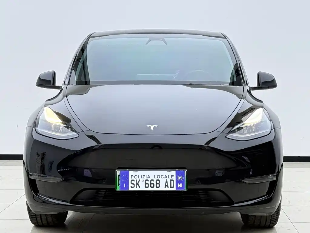 Tesla Model Y 2021 — фото 2