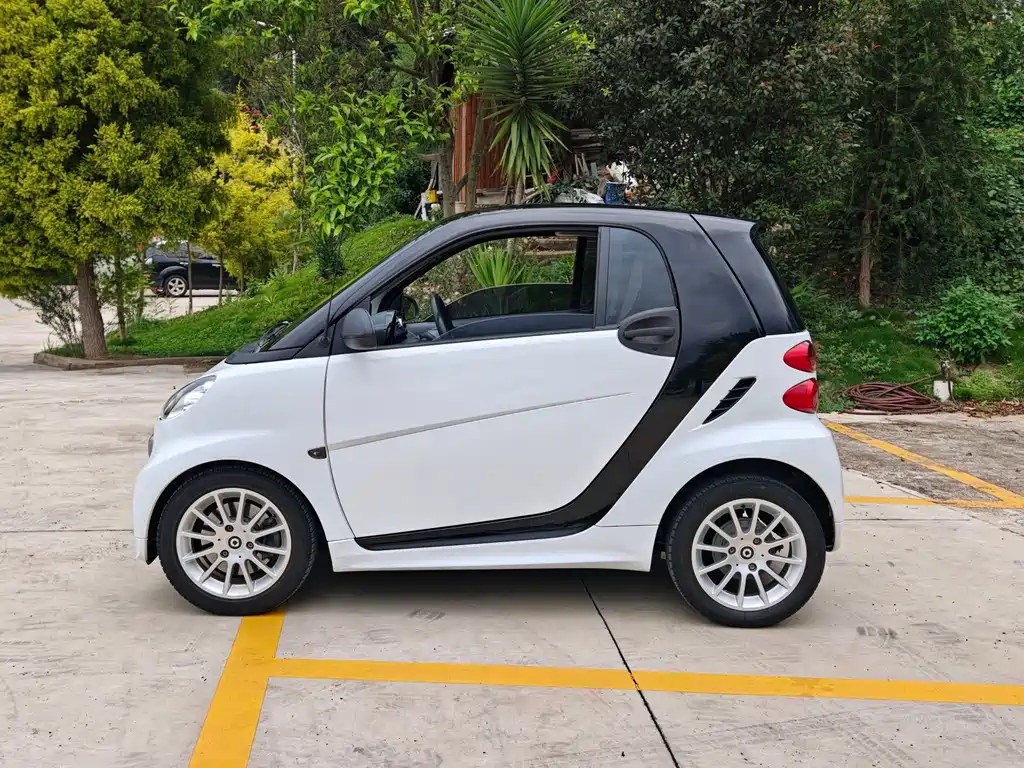 smart fortwo 2013 — фото 8