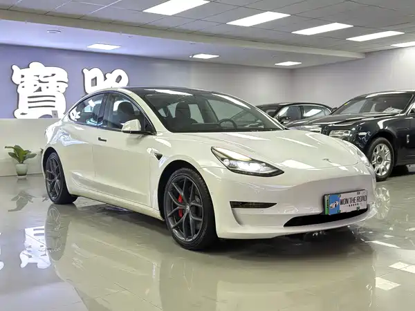 Tesla Model 3 2021