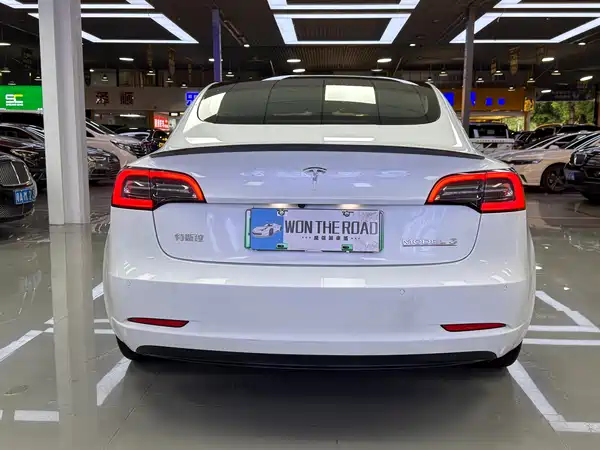 Tesla Model 3 2021