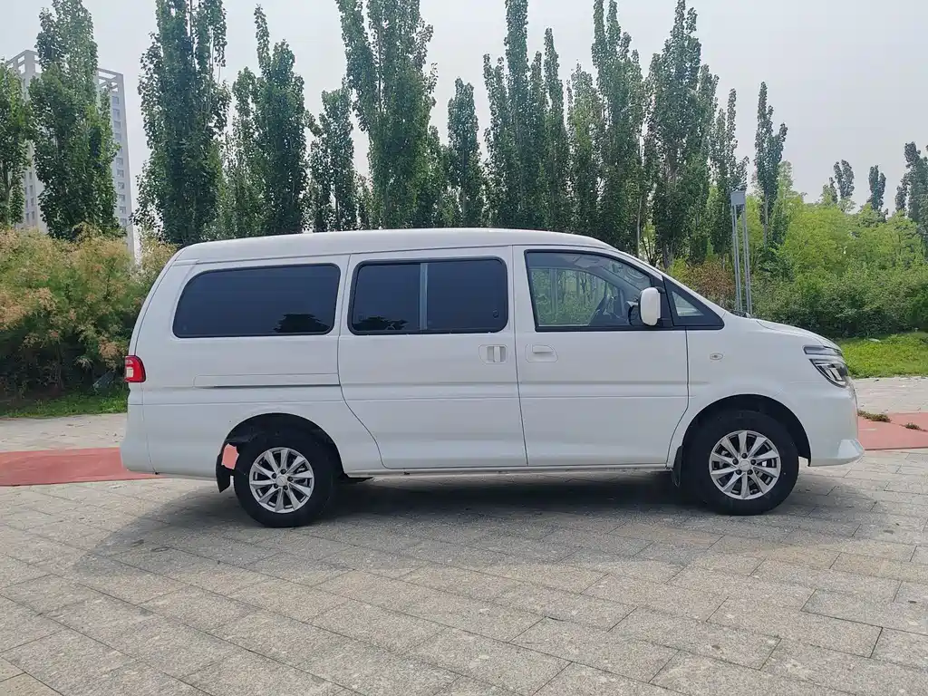 Fengxing Lingzhi New Energy 2025