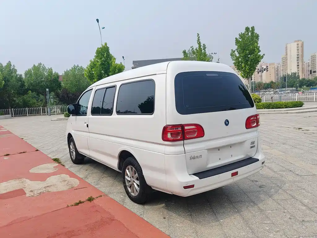Fengxing Lingzhi New Energy 2025
