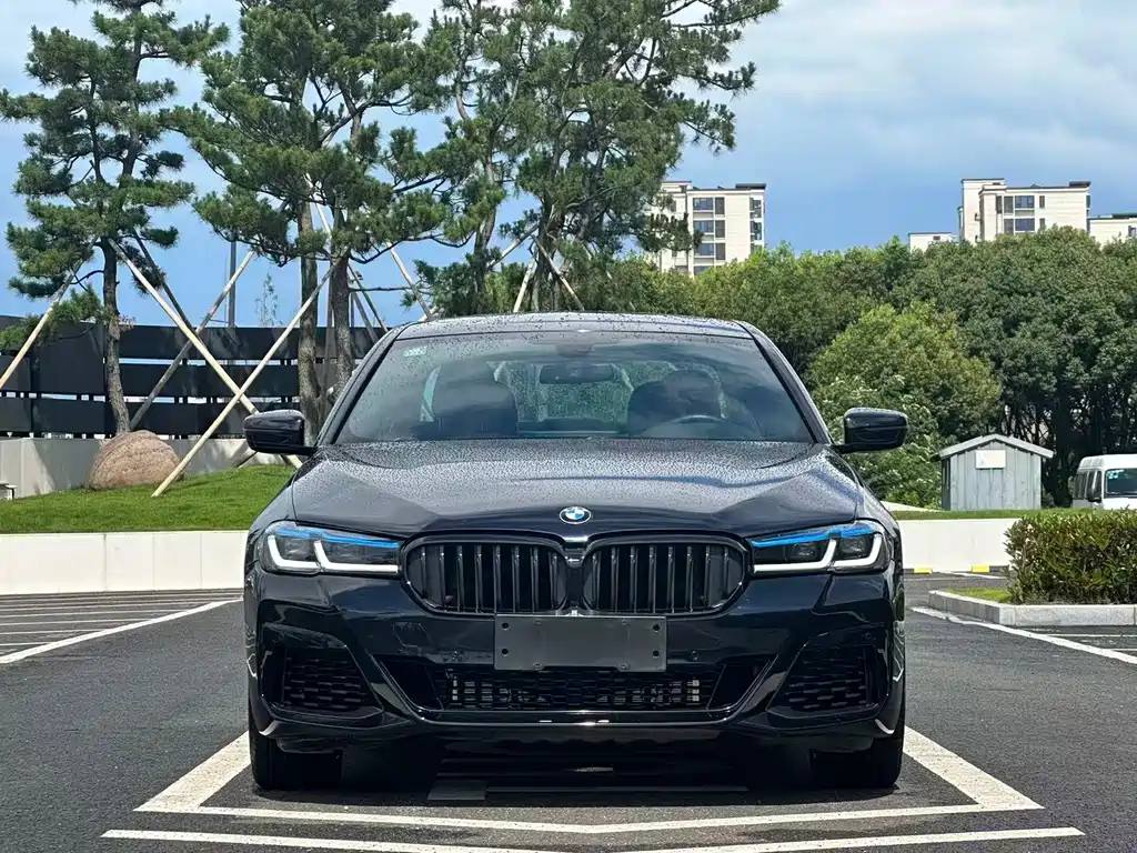 BMW 5 Series 2019