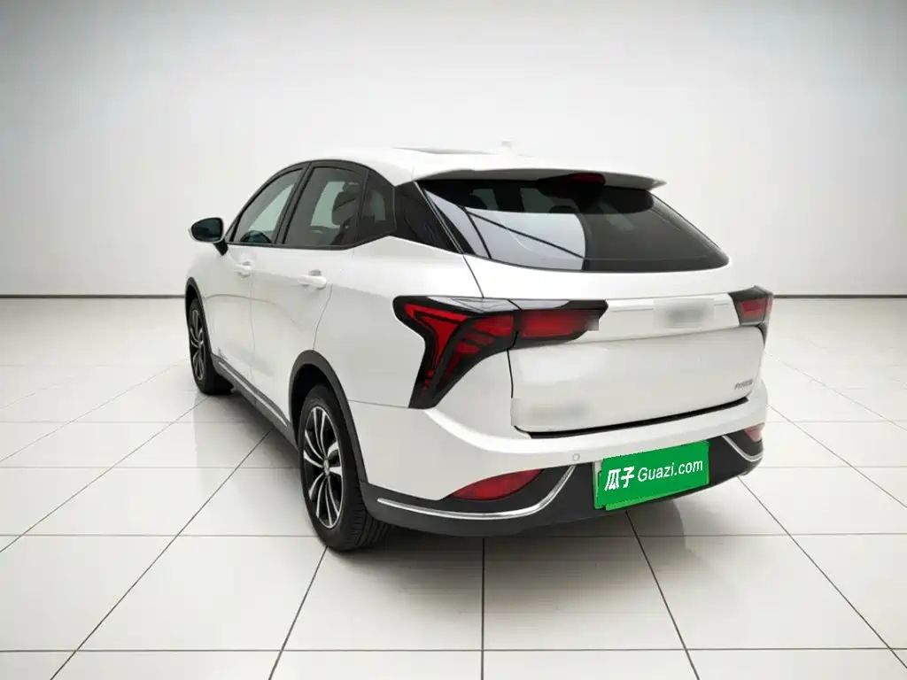 Neta V 2022