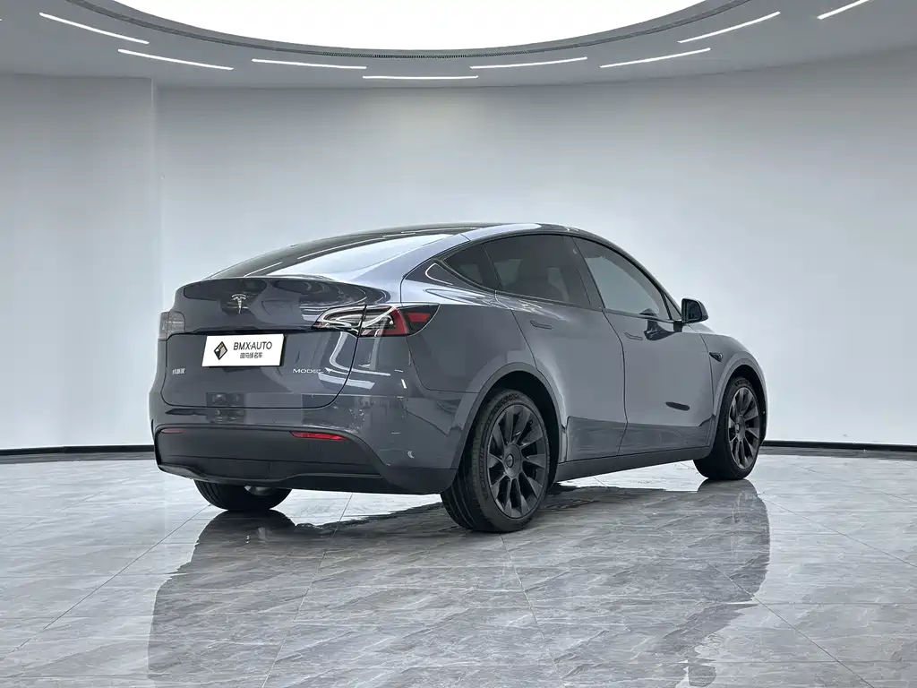 Tesla Model Y 2021 — фото 3