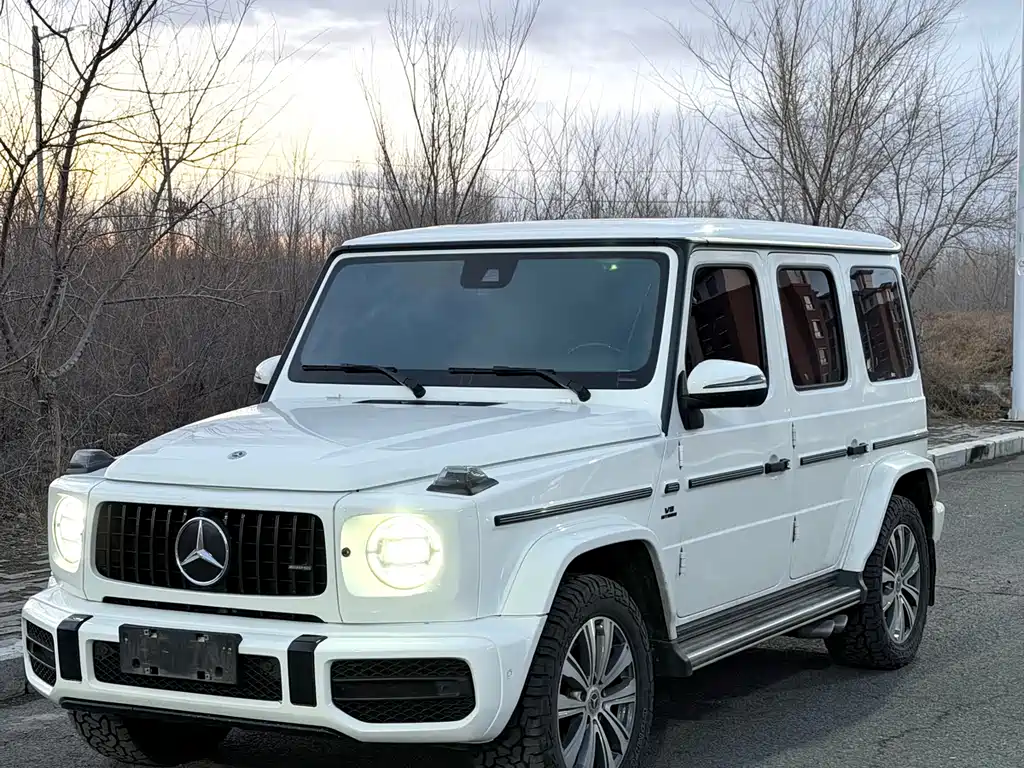 Mercedes-Benz G-Class 2021 — фото 1
