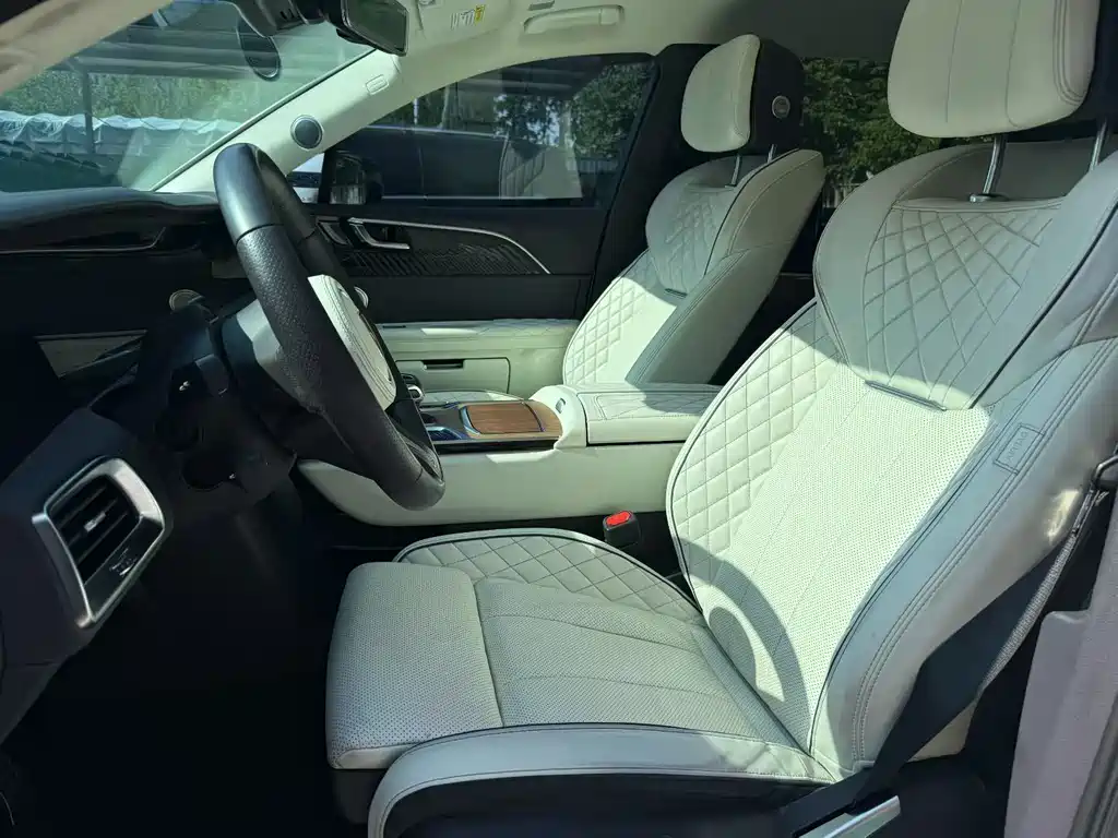 Hongqi E-HS9 2021