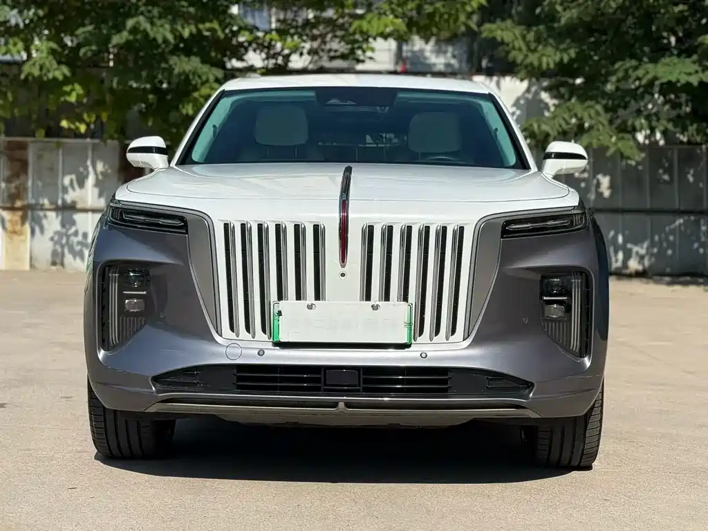 Hongqi E-HS9 2021