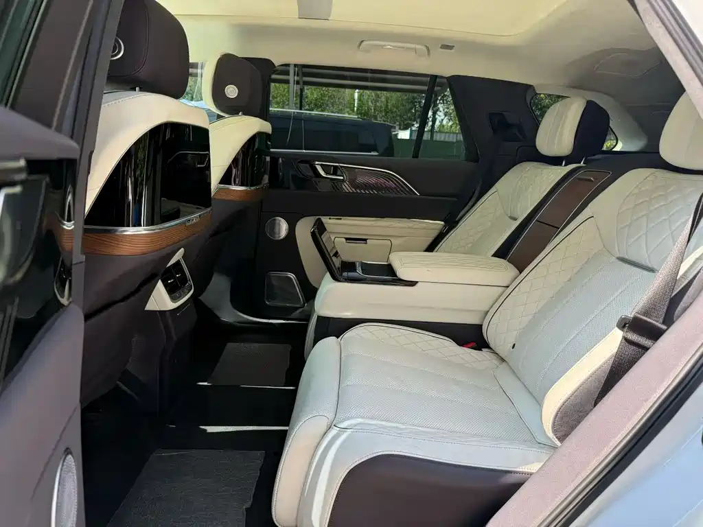 Hongqi E-HS9 2021