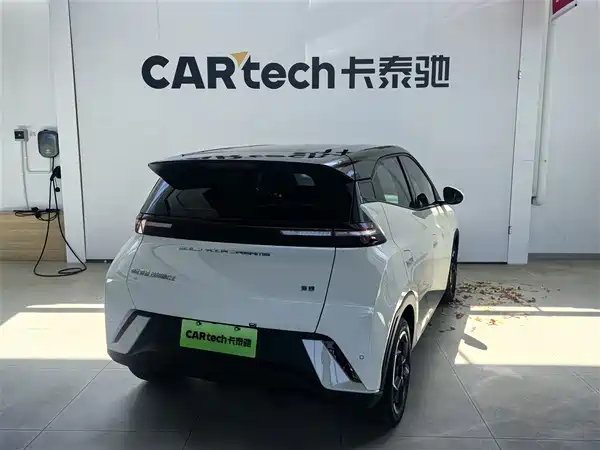 BYD Seagull 2024