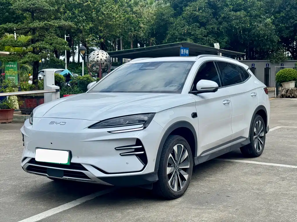 BYD PLUS New Energy 2025 — фото 1