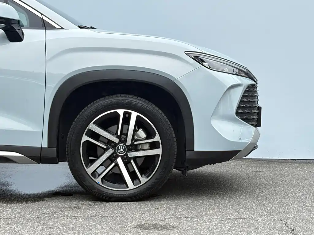BYD Song L DM-i 2024 — фото 25