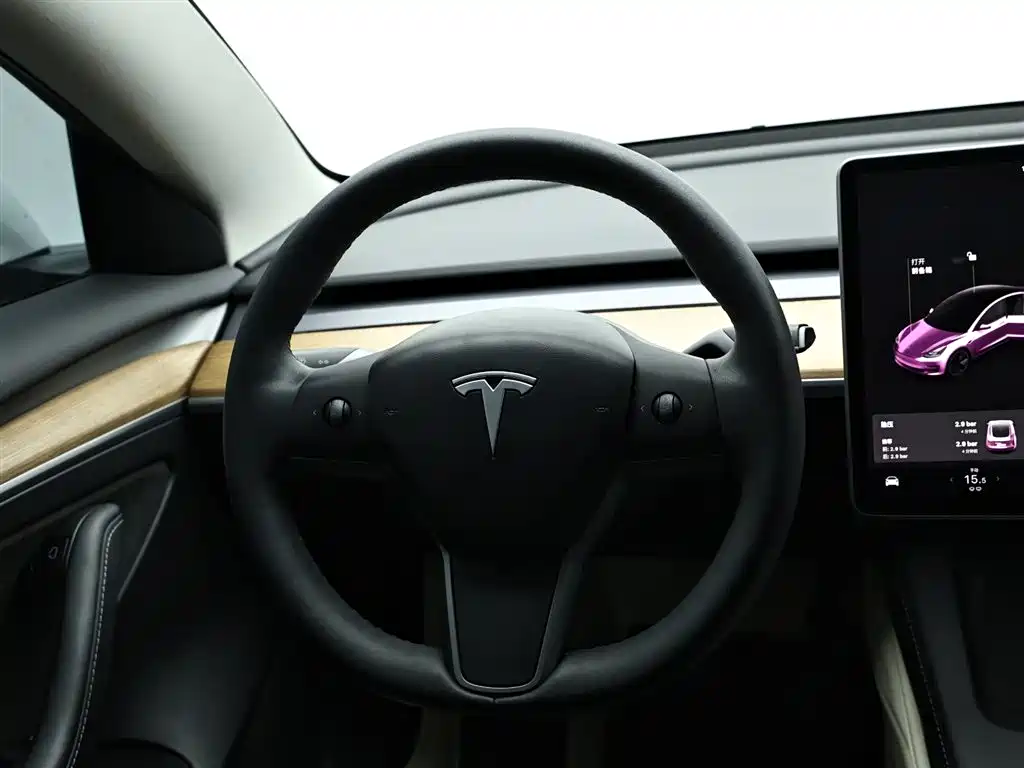Tesla Model 3 2021 — фото 16