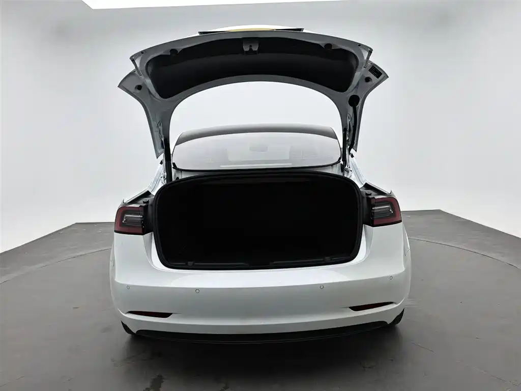 Tesla Model 3 2021 — фото 10