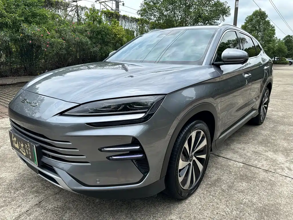 BYD PLUS New Energy 2024 — фото 6