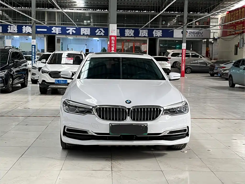 BMW 5 Series New Energy 2019