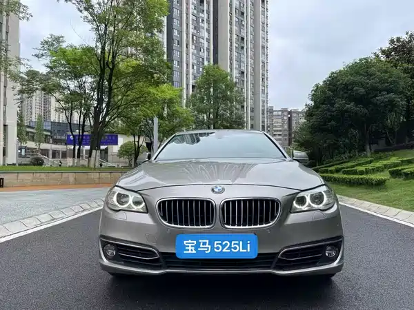 BMW 5 Series 2013