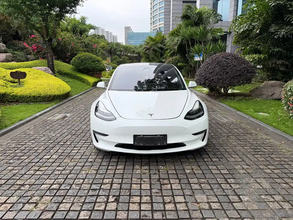 Tesla Model 3 2019 — фото 2