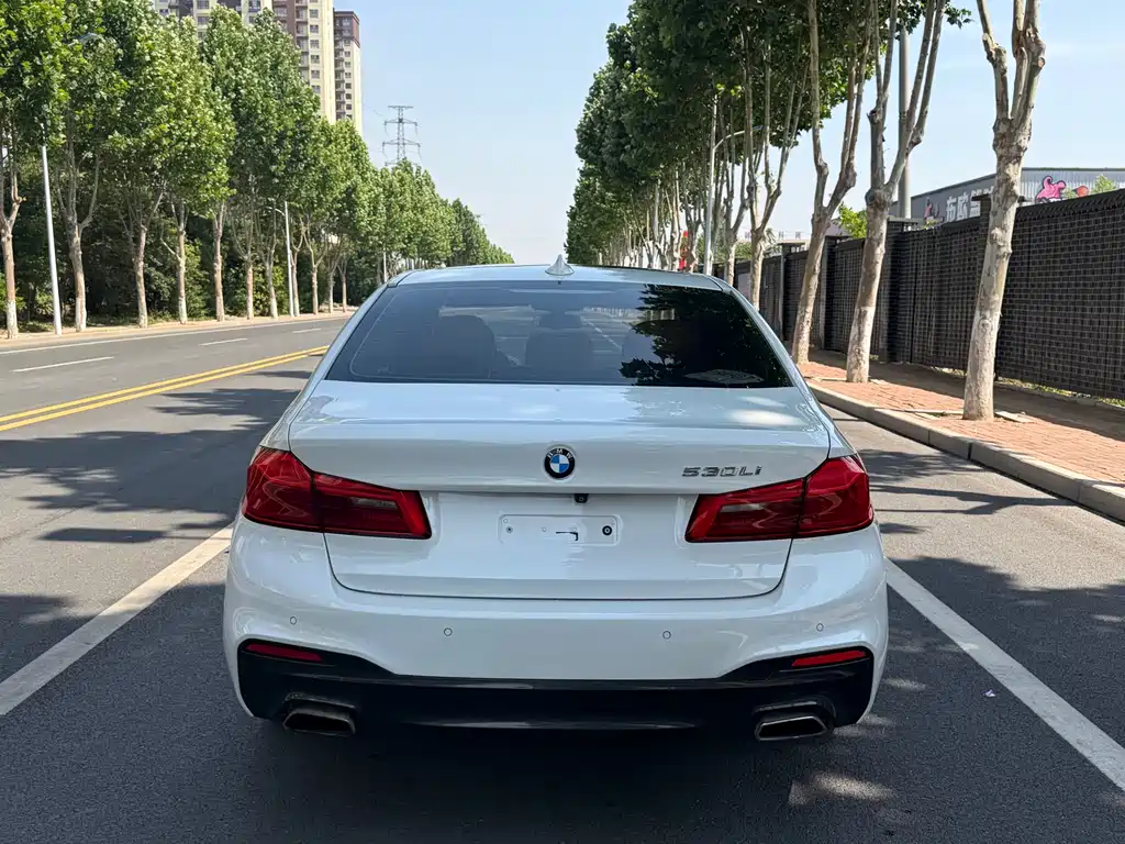 BMW 5 Series 2019 — фото 4