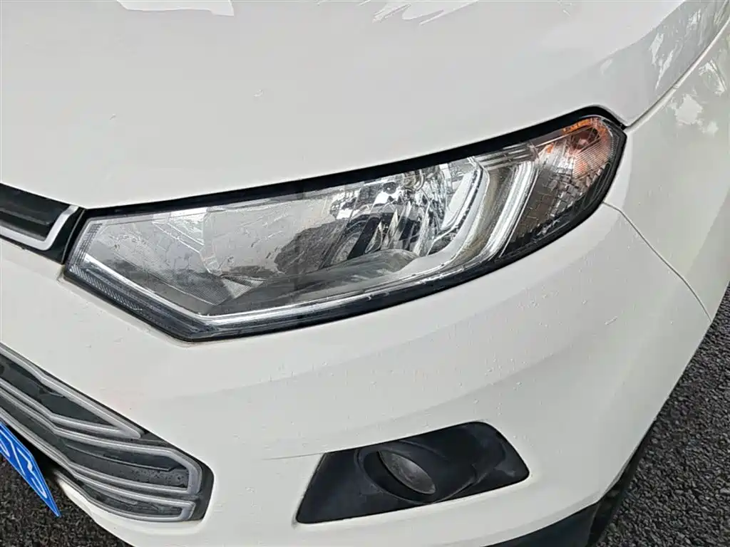 Ford Ecosport 2016 — фото 24
