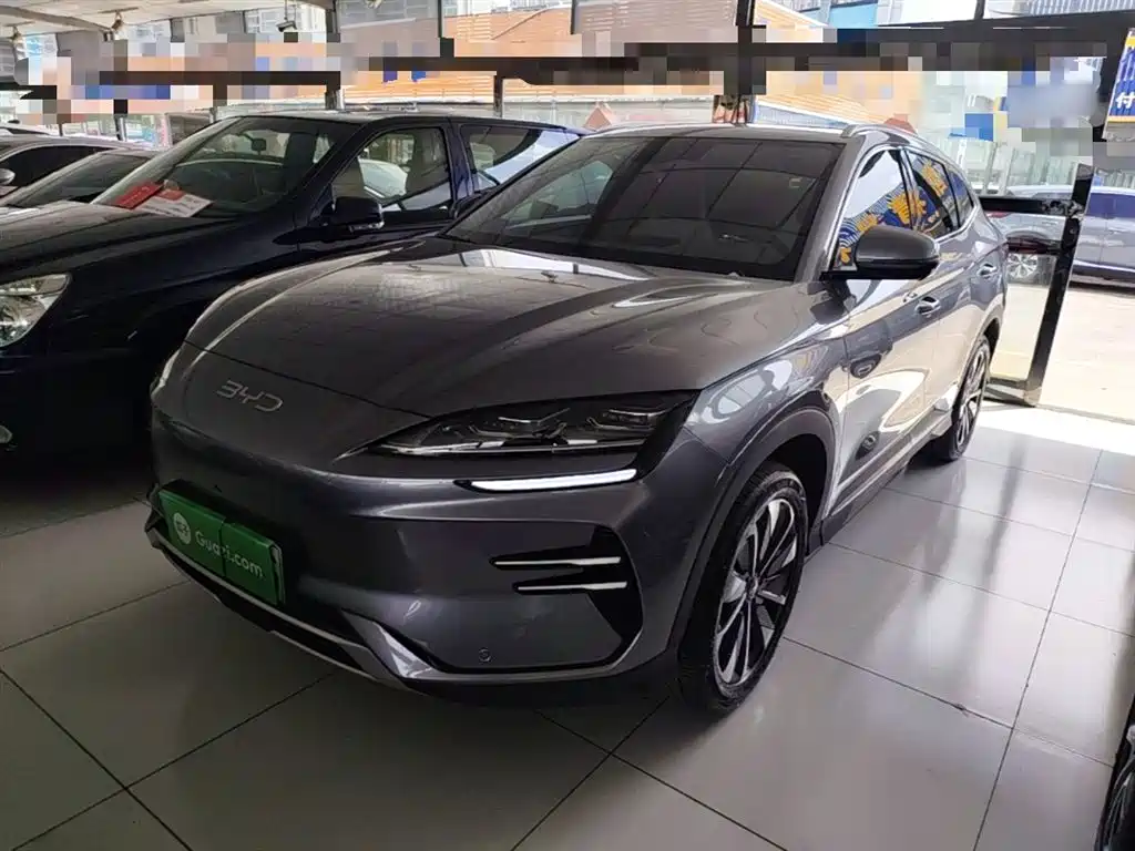 BYD PLUS New Energy 2024 — фото 2