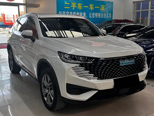 Haval H6 New Energy 2023