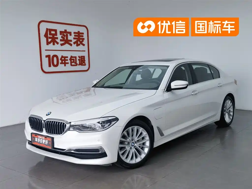BMW 5 Series New Energy 2019