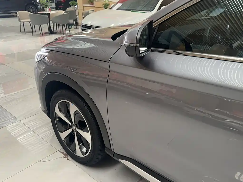 BYD PLUS New Energy 2022 — фото 26