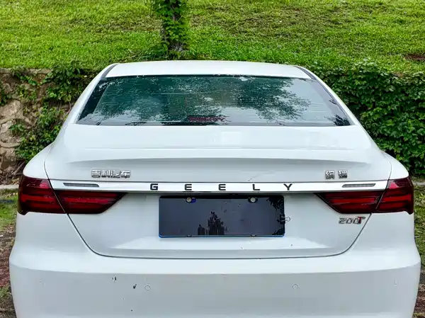 Geely Binrui 2019