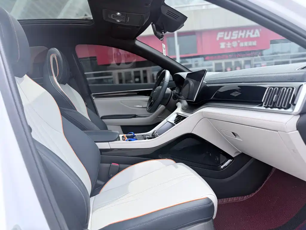 BYD Song PLUS New Energy 2024 — фото 12