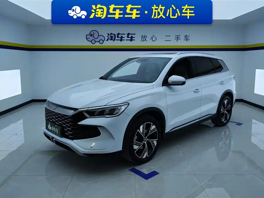 BYD Pro New Energy 2024 — фото 1