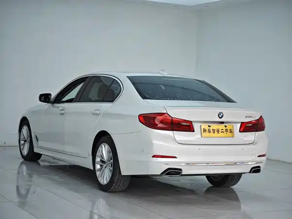 BMW 5 Series 2019