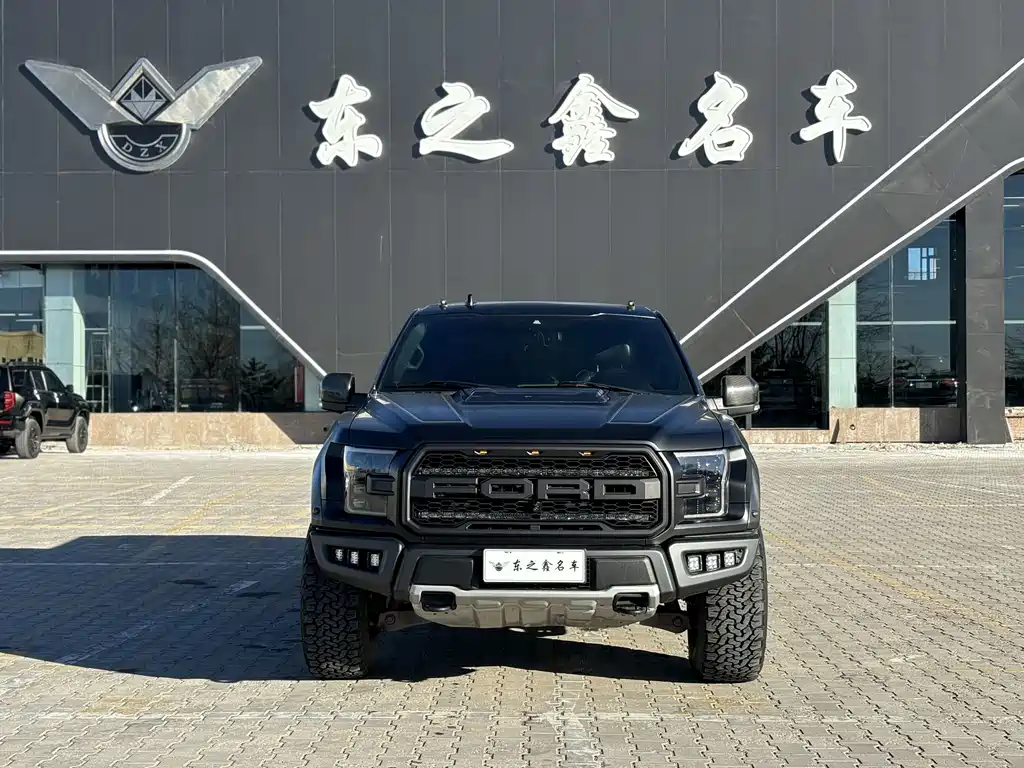 Ford F-150 Raptor 2019 — фото 12