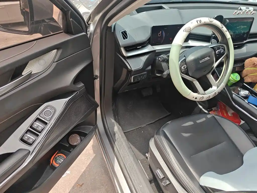 Haval H6 2022 — фото 14