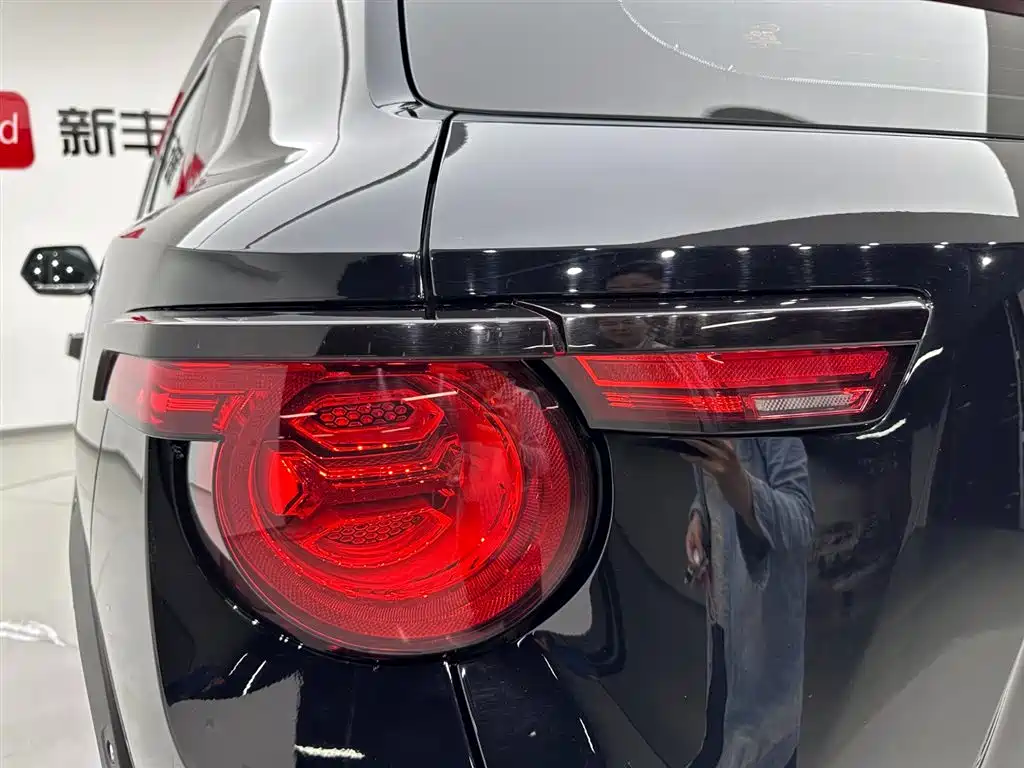 Haval Dargo PLUS EV 2023 — фото 28