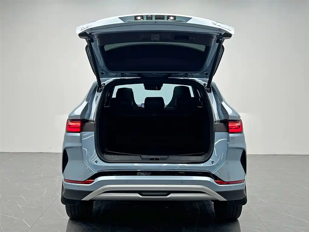 BYD PLUS New Energy 2023 — фото 10