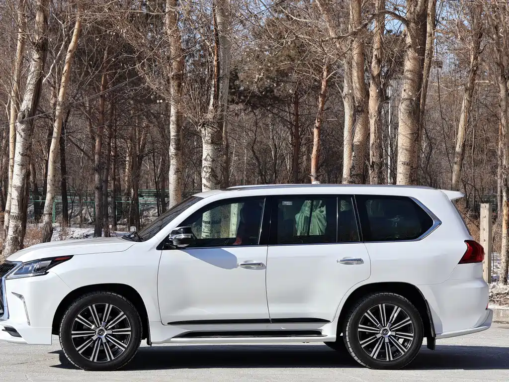 Lexus LX 2019 — фото 5