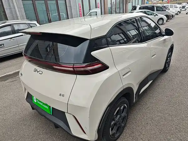 BYD Seagull 2024