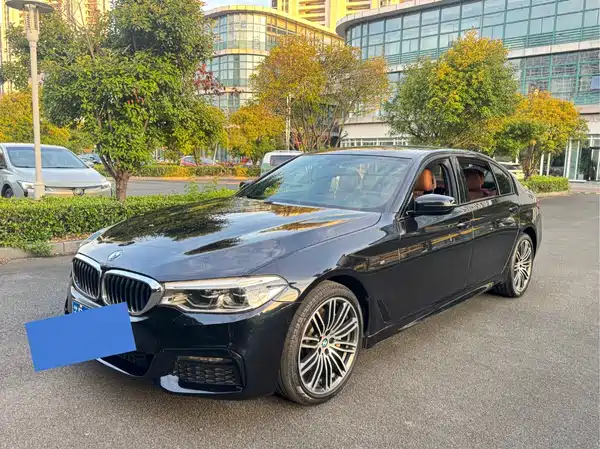 BMW 5 Series 2019