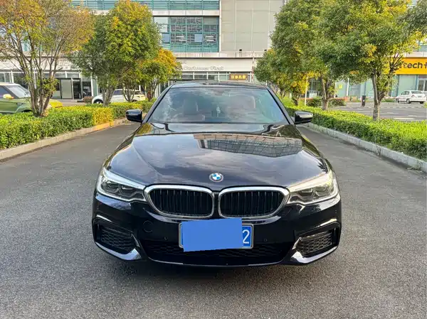 BMW 5 Series 2019