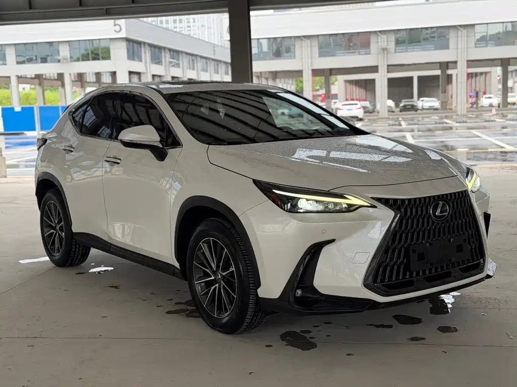 Lexus NX New Energy 2021 — фото 3